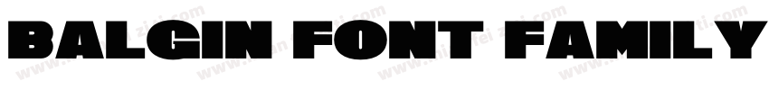 balgin font family字体转换